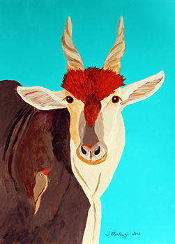 Bofu the Eland